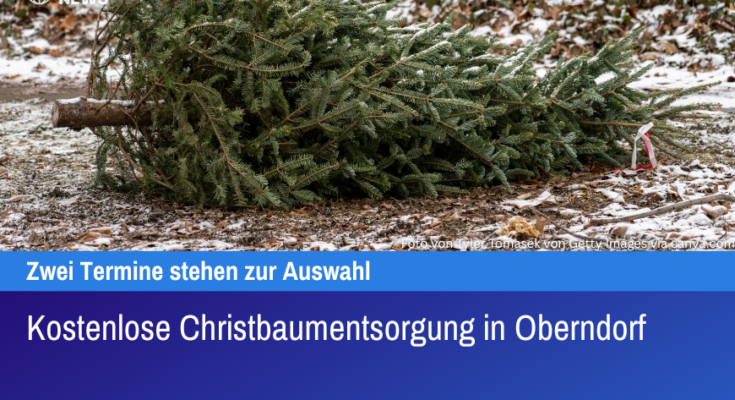 Kostenlose Christbaumentsorgung in Oberndorf
